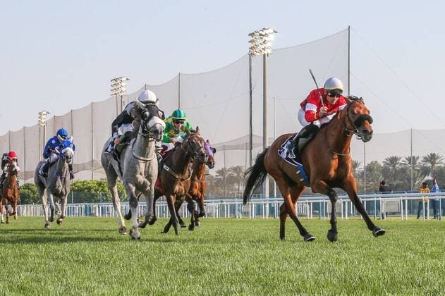 Sport Themen der Woche KW13 Sport Bilder des Tages Mandatory Credit: Photo by Cedric Lane Shutterstock (12873994g) IBN DES VIALETTES (FR) ridden by Fernando Jara wins th 6FAl Bithnah Maiden, race 1 at Abu Dhabi Equestrian Club, UAE Horse Racing, Abu Dhabi, United Arab Emirates - 31 Mar 2022 Domestic Meeting, flat racing dirt surface, 5 Purebred Arabian race & 1 Thoroughbred race. Horse Racing, Abu Dhabi, United Arab Emirates - 31 Mar 2022  Copyright: xCedricxLane Shutterstockx 12873994g