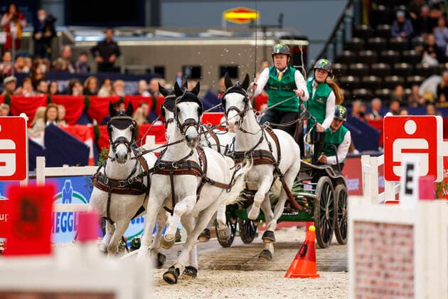Sport Themen der Woche KW14 Sport Bilder des Tages LEIPZIG - Partner Pferd FEI World Cup Finals 2022, LEIPZIG - Partner Pferd FEI World Cup Finals 2022 CHARDON Bram (NED) Kendi, Favory Farao, Dreef Inca, Dreef Kapitany FEI DRIVING WORLD CUPâ ¢ FINAL presented by SPARKASSE SPARKASSEN-TROPHY Final (CAI-W) Int. four-in-hand driving time obstacle competition Leipzig, Messe 10. April 2022 - *** LEIPZIG Partner Horse FEI World Cup Finals 2022, LEIPZIG Partner Horse FEI World Cup Finals 2022 CHARDON Bram NED Kendi, Favory Farao, Dreef Inca, Dreef Kapitany FEI DRIVING WORLD CUPâ ¢ FINAL presented by SPARKASSE SPARKASSEN TROPHY Final CAI W Int four in hand driving time obstacle competition Leipzig, Messe 10 April 2022