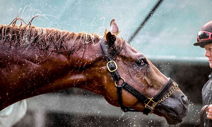 Sport Bilder des Tages May 19, 2022, Baltimore, MD, USA: May 19, 2022: A horse gets a bath at the stakes barn after exercising during Preakness Week preparations at Pimlico Race Course in Baltimore, Maryland. Eclipse Sportswire CSM Baltimore USA - ZUMAcs17 20220519_zaf_cs17_037 Copyright: xScottxSeriox