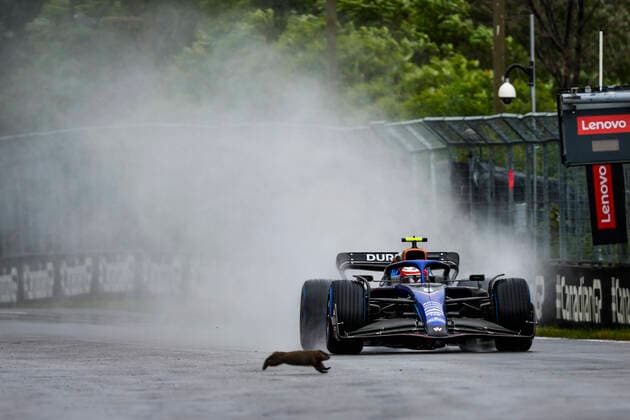 Formula 1, Canadian GP in Montreal, Nicholas Latifi runs over groundhog