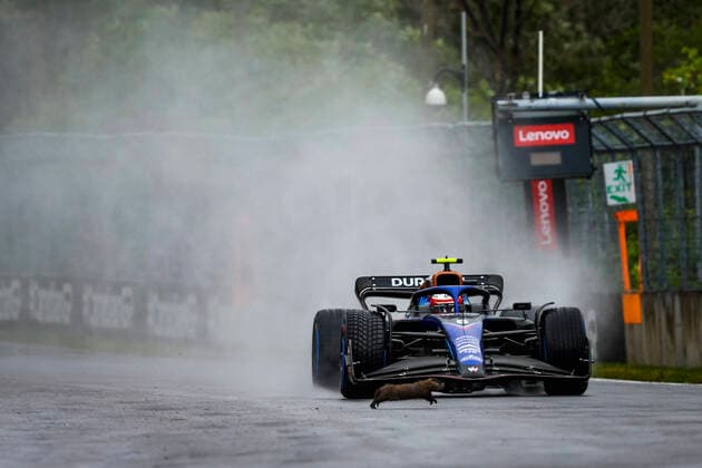 6 Nicholas Latifi CAN, Williams Racing hits a groundhog, F1 Grand Prix of Canada at Circuit Gilles Villeneuve on June 18, 2022 in Montreal, Canada Photo by HOCH ZWEI Montreal Canada