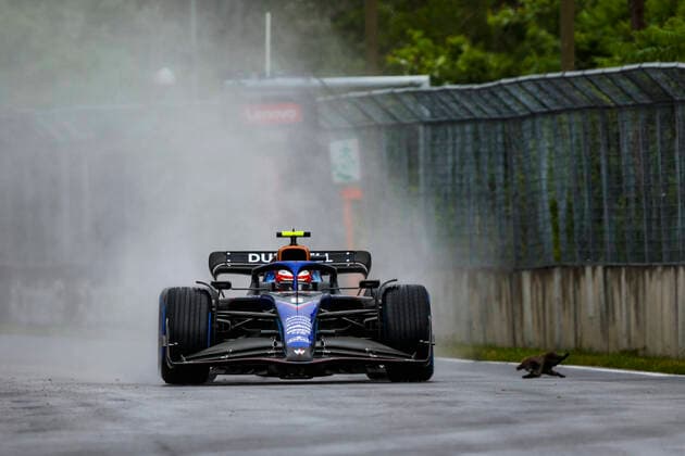 6 Nicholas Latifi CAN, Williams Racing hits a groundhog, F1 Grand Prix of Canada at Circuit Gilles Villeneuve on June 18, 2022 in Montreal, Canada Photo by HOCH ZWEI Montreal Canada