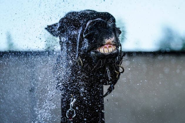 Sport Themen der Woche KW25 Pferdesport, Springreiten, Jumping Cup in Mailand Photo Spada LaPresse June 26, 2022 Milano, Italy Frecciarossa Milano Jumping Cup In the pic: the stables  Copyright: xSpada LaPressex