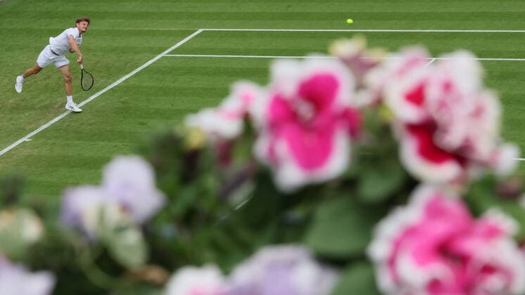 Belgian David Goffin pictured in action during a tennis game against Argentinian Baez, in the second round game of the men s singles tournament at the 2022 Wimbledon grand slam tennis tournament at the All England Tennis Club, in south-west London, Britain, Wednesday 29 June 2022. The match had to be postponed due to rain on Monday. BENOITxDOPPAGNE  x36784266x