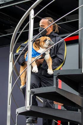 1st July 2022, Silverstone Circuit, Silverstone, Northamptonshire, England: British F1 Grand Prix, free practise day: Mercedes-AMG Petronas F1 Team driver Lewis Hamilton carries his dog Roscoe up the stairs  ActionPlus12403447 TimxWilliams