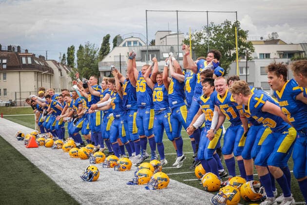 Football, U19 European Championship, Sweden - France