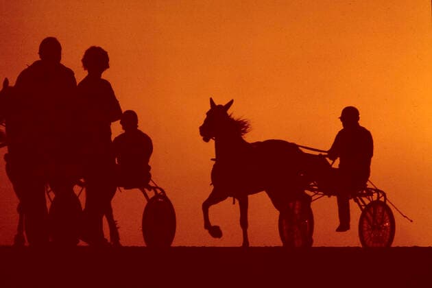 Training auf der Trabrennbahn Gelsenkirchen bei Tagesanbruch Scan on einem 6x7cm-Diapositiv *** Training on the harness racing track Gelsenkirchen at daybreak Scan on a 6x7cm slide