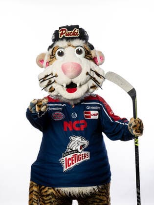 Pucki mascot, Nuremberg Ice Tigers, Nuremberg Ice Tigers , Nuremberg Ice Tigers portraits, Ice field hockey, DEL, 01 08 2022, Nuremberg Ice Tigers portraits, Ice field hockey, DEL, 01 08 2022 Copyright: xThomasxHahnx xEibner-Pressefotox EP_NIT