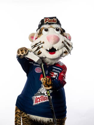 Pucki mascot, Nuremberg Ice Tigers, Nuremberg Ice Tigers , Nuremberg Ice Tigers portraits, Ice field hockey, DEL, 01 08 2022, Nuremberg Ice Tigers portraits, Ice field hockey, DEL, 01 08 2022 Copyright: xThomasxHahnx xEibner-Pressefotox EP_NIT