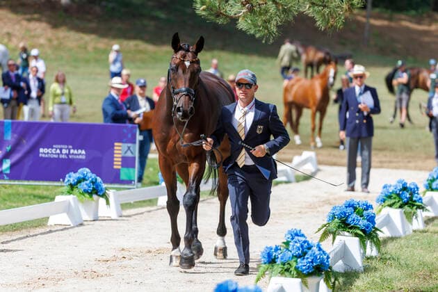 PRATONI - FEI Eventing World Championship, WM, Weltmeisterschaft 2022, PRATONI - FEI Eventing World Championship 2022 JUNG Michael (GER), Fischerchipmunk FRH 1st Horse Inspection Vet-Check Pratoni de Vivaro, Centro Equestre Federale 14. September 2022 - *** PRATONI FEI Eventing World Championship 2022, PRATONI FEI Eventing World Championship 2022 JUNG Michael GER , Fischerchipmunk FRH 1st Horse Inspection Vet Check Pratoni de Vivaro, Centro Equestre Federale 14 September 2022