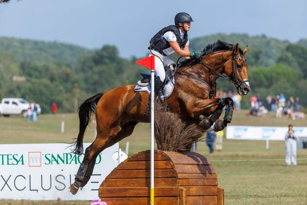 Equestrian sports, riding: FEI World Championships in Aachen from 11 to 23 August