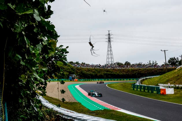 44 Lewis Hamilton GBR, Mercedes AMG Petronas F1 Team , F1 Grand Prix of Japan at Suzuka International Racing Course on October 8, 2022 in Suzuka, Japan Photo by HOCH ZWEI Suzuka Japan