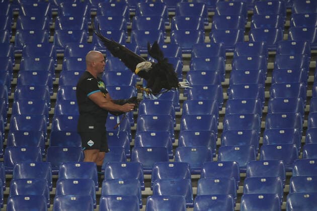 Rome, Italy 27.10.2022: The eagle, the symbol of Lazio, does not fly on the pitch and sits on the stands before the Uefa Europe League 2022-2023 , Group F - SS matchday 5, football match between SS Lazio vs FC Midtjylland at Olympic Stadium in Rome, Italy.  Copyright: xmarcoxiacobuccix xipa-agency.netx xmarcoxiacobuccix 0