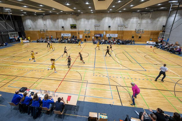 Basketball Berlin 05 11 2022 season 2022 2023 1 Bundesliga DBBL Alba Berlin inexio Royals Saarlouis Max Schmeling Halle A sports facility