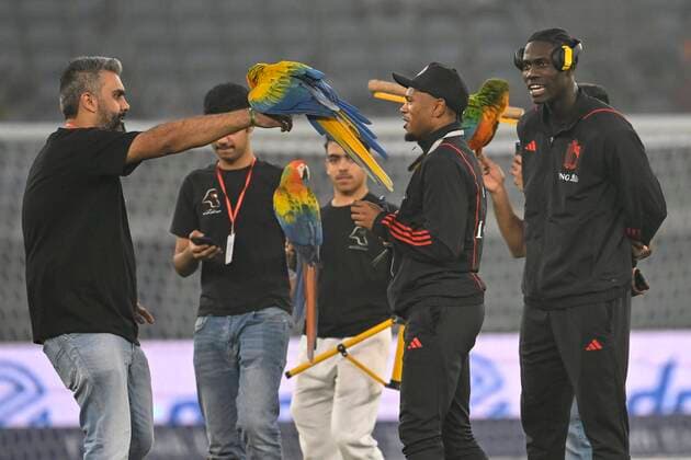 Bilder des Jahres, Sport 11 November Sport Themen der Woche KW46 KUWAIT CITY, KUWAIT - NOVEMBER 18 : Openda Lois forward of Belgium, Onana Amadou midfielder of Belgium pictured with birds prior to the preparation World Cup international match, Länderspiel, Nationalmannschaft between Belgium and Egypt at the Jaber Al-Ahmad Stadium on November 18, 2022 in Kuwait City, Kuwait, 18 11 2022 ( Belgium v Egypt - Pre World Cup International Match PhotoNews Panoramic 