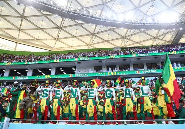 Mandatory Credit: Photo by Kieran McManus Shutterstock (13634753k) Senegal fans. Qatar v Senegal, FIFA World Cup, WM, Weltmeisterschaft, Fussball 2022, Group A, Football, Al Thumama Stadium, Doha, Qatar - 25 Nov 2022 Editorial Use Only Qatar v Senegal, FIFA World Cup 2022, Group A, Football, Al Thumama Stadium, Doha, Qatar - 25 Nov 2022 Editorial Use Only  Copyright: xKieranxMcManus Shutterstockx 13634753k