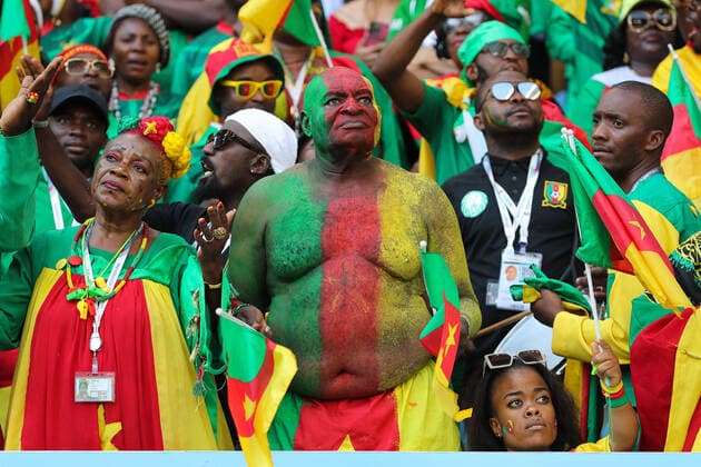 28th November 2022; Al Janoub Stadium, Al Wakrah, Qatar; FIFA World Cup, WM, Weltmeisterschaft, Fussball Football, Cameroon versus Serbia; Cameroon fans  ActionPlus12453863 JohnxPatrickxFletcher