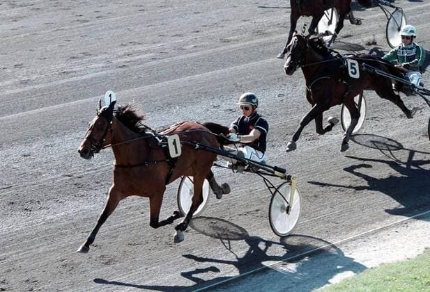 STOCKHOLM 990905 ( Jädersro ) ---OBS MALMÖ OUT--- Stig H Johansson vann Svenskt travderby med Victory Tilly. Foto Ingemar D Krisiansen code 680 **F-BILD** COPYRIGHT SCANPIX SWEDEN STOCKHOLM SWE Hästsport x680x *** STOCKHOLM 990905 Jädersro OBS MALMÖ OUT Stig H Johansson won the Swedish Trotting Derby with Victory Tilly Photo Ingemar D Krisiansen code 680 F BILD COPYRIGHT SCANPIX SWEDEN STOCKHOLM SWE Hästsport x680x  Copyright: xIngemarxDxKristiansenx