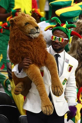 A Senegal fan looks on during the 2022 FIFA World Cup, WM, Weltmeisterschaft, Fussball Round of 16 match at Al Bayt Stadium in Al Khor, Qatar on December 04, 2022.  ALK20221204104 CHRISxBRUNSKILL