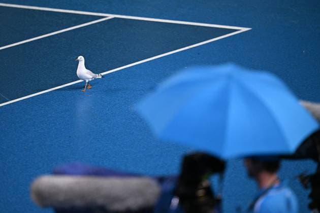 Sport Bilder des Tages TENNIS AUSTRALIAN OPEN, A seagull is seen during a rain delay during the 2023 Australian Open tennis tournament at Melbourne Park in Melbourne, Tuesday, January 17, 2023. ( NO ARCHIVING, EDITORIAL USE ONLY, NO USE IN BOOKS WITHOUT CONSENT MELBOURNE VICTORIA AUSTRALIA  Copyright: xJAMESxROSSx 20230118001753522676