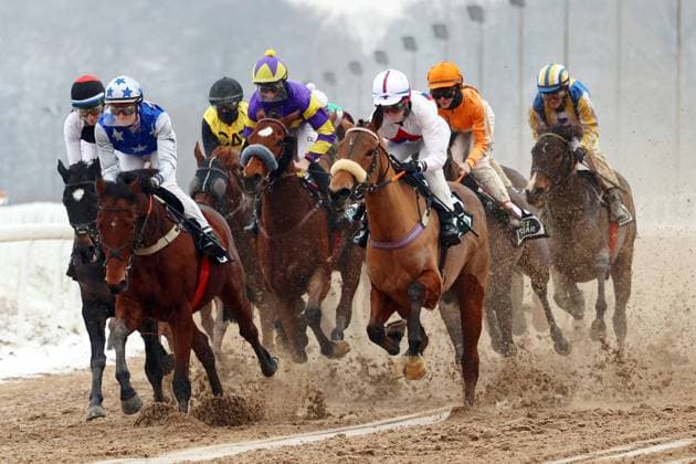 Bilder des Jahres 2023, Sport 01 Januar Sport Bilder des Tages 22.01.2023, Dortmund, Nordrhein-Westfalen, GER - Pferde und Jockeys im Rennen auf der Sandbahn. Galopprennbahn Dortmund-Wambel. (Pferde, Jockeys, Winter, Schnee, verschneit, Sandbahn, Dirt, Dirttrack, Galopp, Galopprennsport, Pferderennsport, Pferderennen, Galopprennen, Pulk, Bogen) 230122SG916DORTMUND.JPG *** 22 01 2023, Dortmund, North Rhine Westphalia, GER Horses and jockeys racing on sand track Galopprennbahn Dortmund Wambel horses, jockeys, winter, snow, snowy, sand track, dirt, dirt track, gallop, gallop racing, horse racing, horse racing, gallop racing, crowd, bow 230122SG916DORTMUND JPG