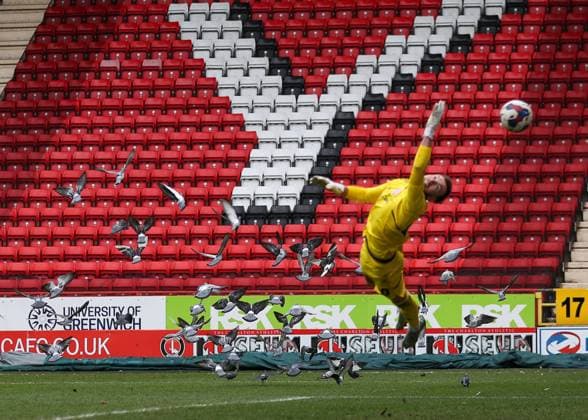 Bilder des Jahres 2023, Sport 03 März Sport Themen der Woche KW10 Sport Bilder des Tages Charlton Athletic v Accrington Stanley Sky Bet League 1 Pigeons fly away as Steven Sessegnon of Charlton Athletic scores from distance during the Sky Bet League 1 match between Charlton Athletic and Accrington Stanley at The Valley, London Content Not Available For UK Newspapers Copyright: xDarrenxWoolleyx FIL-18216-0144 UK Newspapers OUT