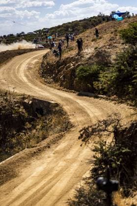 Motorsport, WRC, Rallye Mexiko 33 Elfyn EVANS (GBR), Scott MARTIN (GBR), TOYOTA GAZOO RACING WRT, TOYOTA GR Yaris Rally1 Hybrid, WRC, Motorsport Rallye, WM ,WRC, action during the Rally Guanajuato Mexico 2023, 3rd round of the 2023 WRC World Rally Car Championship, from March 16 to 19, 2023 at Leon, Guanajuato, in Mexico - AUTO - WRC - RALLY GUANAJUATO MEXICO 2023 DPPI Panoramic RPPA_2023_03_Mexico_421