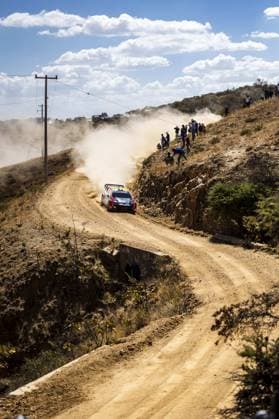 Motorsport, WRC, Rallye Mexiko 11 Thierry NEUVILLE (BEL), Martijn WYDAEGHE (BEL), HYUNDAI SHELL MOBIS WORLD RALLY TEAM, HYUNDAI I20 N Rally1 Hybrid, WRC, Motorsport Rallye, WM action during the Rally Guanajuato Mexico 2023, 3rd round of the 2023 WRC World Rally Car Championship, from March 16 to 19, 2023 at Leon, Guanajuato, in Mexico - AUTO - WRC - RALLY GUANAJUATO MEXICO 2023 DPPI Panoramic RPPA_2023_03_Mexico_419