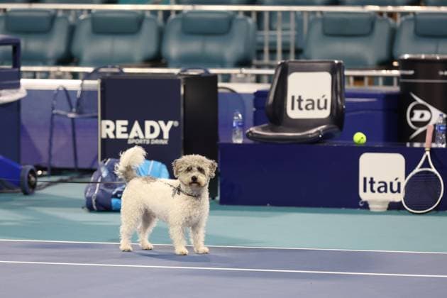 March 21, 2023, Miami Gardens, Florida, United States Of America: MIAMI GARDENS, FLORIDA - MARCH 21: Danielle Collins during practice on Day 3 of the Miami Open at Hard Rock Stadium on March 21, 2023 in Miami Gardens, Florida...People: Danielle Collins Miami Gardens United States Of America - ZUMAs214 20230321_zda_s214_095 Copyright: xSMGx