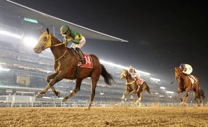 Sport Themen der Woche KW12 Sport Bilder des Tages Horse Racing: Japanese horse wins Dubai World Cup Ushba Tesoro, ridden by Yuga Kawada, gallops en route to winning the Dubai World Cup at Meydan in Dubai on March 25, 2023, becoming the second Japanese horse to win the Grade 1 race.  A14AA0001410675P 