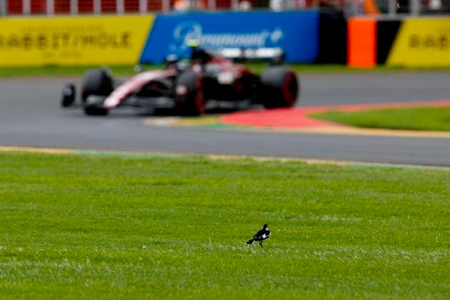 24 Guanyu Zhou CHN, Alfa Romeo F1 Team Stake , F1 Grand Prix of Australia at Albert Park Circuit on April 1, 2023 in Melbourne, Australia Photo by HOCH ZWEI Melbourne Australia