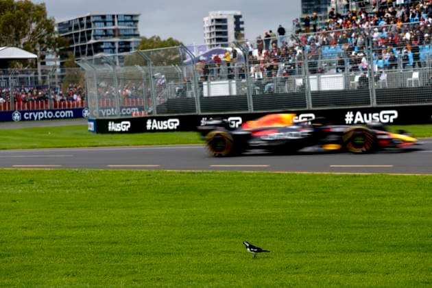 1 Max Verstappen NLD, Oracle Red Bull Racing , F1 Grand Prix of Australia at Albert Park Circuit on April 1, 2023 in Melbourne, Australia Photo by HOCH ZWEI Melbourne Australia