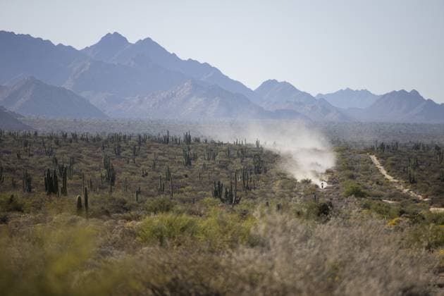 52 WALKNER Matthias (aut), Red Bull KTM Factory Racing, KTM 450 Rally Factory, FIM W2RC, action during the Stage 2 of the Sonora Rally 2023, 3rd round of the 2023 World Rally-Raid Championship, between Hermosillo and Penasco on April 25th, 2023 in Penasco, Mexico - AUTO - W2RC - SONORA RALLY 2023 DPPI Panoramic  05323003__DE_6780