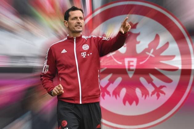 PHOTOMONTAGE Dino TOPPMOELLER targeted by Eintracht Frankfurt as new coach ARCHIVFOTO Dino TOPPMOELLER Co Trainer FCB , applause,gesture,single image,cropped single image,half figure,half figure Football 1 Bundesliga season 2021 2022, 9 matchday, Spieltag09 FC Bayern Muenchen TSG 1899 Hoffenheim 4 0, on 23 10 2021, A L L I A N Z A R E N A Muenchen