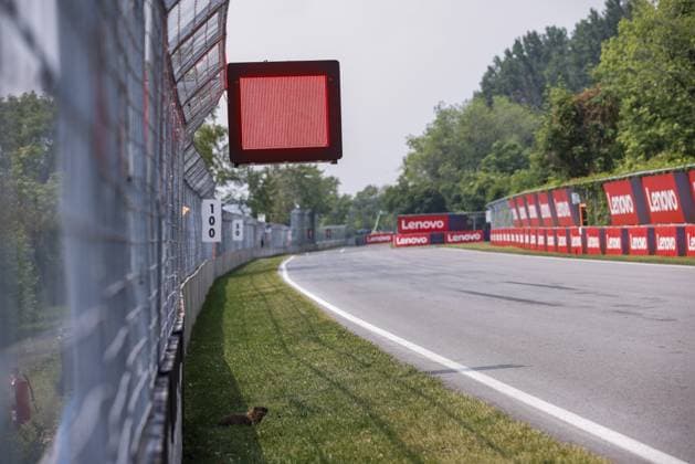 Red flag, drapeau and a groundhog during the Formula 1 Pirelli Grand Prix du Canada, 8th round of the 2023 Formula One World Championship, WM, Weltmeisterschaft from June 16 to 18, 2023 on the Circuit Gilles Villeneuve, in MontrÃ al, Canada - F1 - CANADIAN GRAND PRIX 2023 DPPI Panoramic  00123020__R5_9908