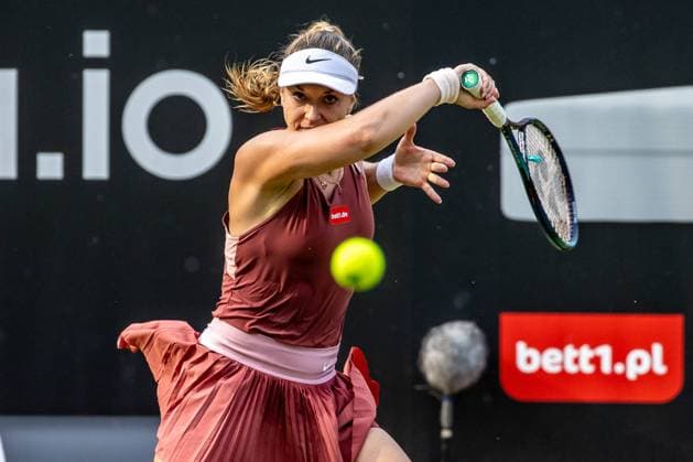 Tennis, Sabine Lisicki is pregnant