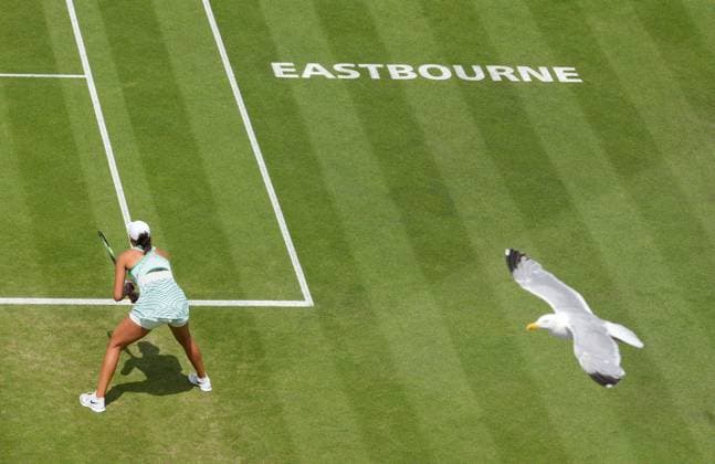 Tennis, WTA Tournament in Eastbourne, Final, Madison Keys - Darja Kassatinka