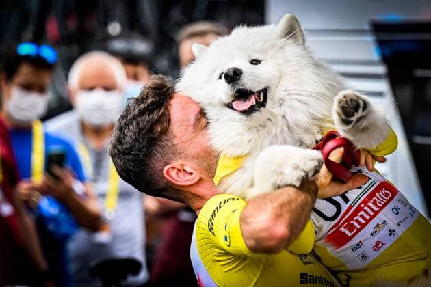 Sport Bilder des Tages Sport Bilder des Tages British Adam Yates of UAE Team Emirates and his dog Zoe wearing the yellow jersey of leader in the overall ranking pictured at the start of the second stage of the Tour de France cycling race, a 208,9 km race from Vitoria-Gasteiz to San Sebastian, Spain, Sunday 02 July 2023. This year s Tour de France takes place from 01 to 23 July 2023. JASPERxJACOBS  x69919620x