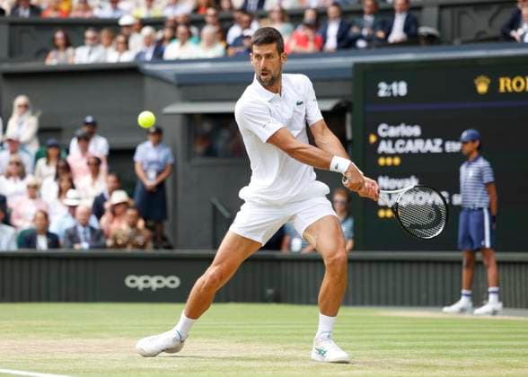 Novak Djokovic, mens singles, final, final match Copyright: xJuergenxHasenkopfx