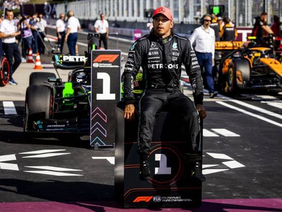 Formula 1, Hungarian GP in Budapest, Lewis Hamilton takes pole position