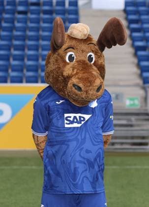 , TSG 1899 Hoffenheim Porträttermin TSG 1899 Hoffenheim 2023 2024 Zuzenhausen, GER, 01 08 2023 ,Football 1 Bundesliga 2023 2024 Editorial use only