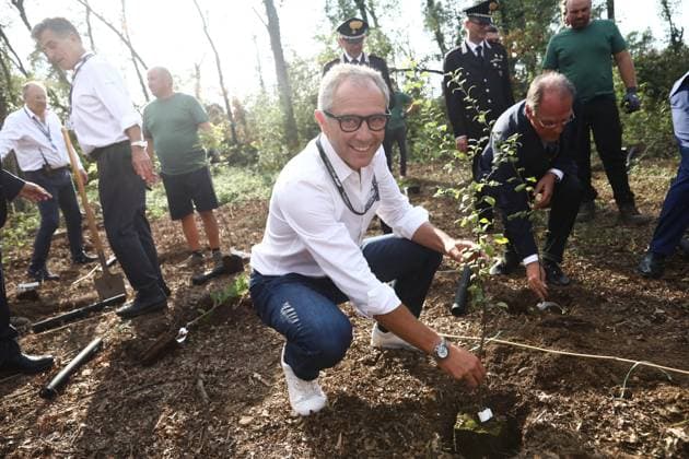 Trees Planted In Monza During F1 Italian Grand Prix 2023 Stefano Domenicali takes part in trees planting as a part of A Tree for each Driver initiative, during practice ahead of the Formula 1 Italian Grand Prix at Autodromo Nazionale di Monza in Monza, Italy on September 1, 2023. Monza Italy  Copyright: xJakubxPorzyckix originalFilename:porzycki-treespla230901_np8Kk.jpg