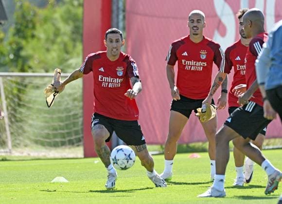 Football, CL, Benfica Lisbon Training