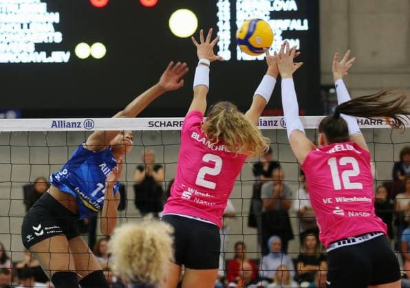 Volleyball, VBL, Women, Allianz MTV Stuttgart - VC Wiesbaden
