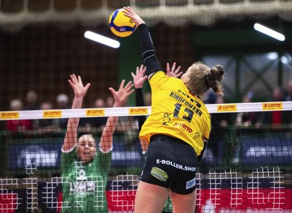 Volleyball, Frauen, VBL, VfB Suhl - USC Münster