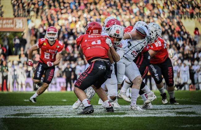 <p>Spieler der Potsdam Royals kämpfen gegen Spieler der Schwäbisch Hall Unicorns am Samstag, den 14. Oktober 2023. Endspiel um die Deutsche Meisterschaft im American Football im Stadion an der Hafenstraße. Es spielen die Potsdam Royals gegen Schwäbisch Hall Unicorns. Ein buntes Rahmenprogramm findet vor dem Spiel am Stadion. Deutschland NRW Essen Copyright: KerstinxKokoska