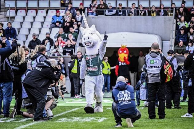 <p>Die Maskottchen im Stadion am Samstag, den 14. Oktober 2023. Endspiel um die Deutsche Meisterschaft im American Football im Stadion an der Hafenstraße. Es spielen die Potsdam Royals gegen Schwäbisch Hall Unicorns. Ein buntes Rahmenprogramm findet vor dem Spiel am Stadion statt. Deutschland NRW Essen Copyright: KerstinxKokoska