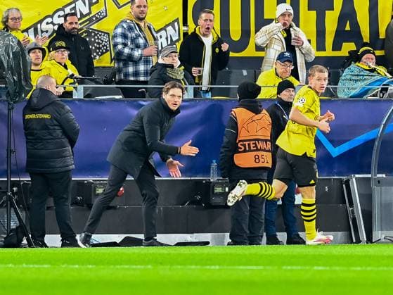 Edin Terzic Borussia Dortmund 09, Coach sends his team forward Julian Ryerson Borussia Dortmund, 26 Borussia Dortmund vs Newcastle United, Football, UEFA Champions League, Matchday 04, 2023 2024 season, 07 11 2023 Borussia Dortmund vs Newcastle United, Football, UEFA Champions League, Matchday 04, 2023 2024 season, 0307 11 2023 Dortmund Copyright: xEibner-Pressefoto ThomasxHaeslerx EP_THR