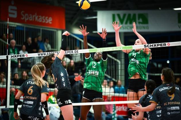 Volleyball, Women, VBL, USC Münster - SC Potsdam