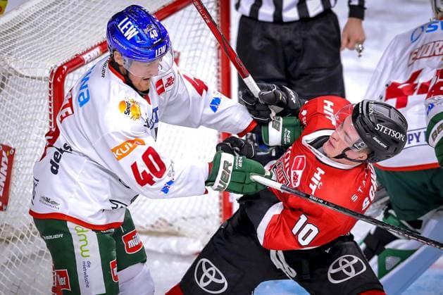 Sport Themen der Woche KW46 Sport Bilder des Tages 19.11.2023, Köln, Eishockey, Penny DEL, 20. Spieltag, Lanxess-Arena, Kölner Haie - Augsburger Panther: Handgemenge auf dem Eis. Tim Schüle (Augsburger Panther) kämpft gegen Justin Schütz (Kölner Haie) Nordrhein-Westfalen Deutschland *** 19 11 2023, Cologne, Ice Hockey, Penny DEL, Matchday 20, Lanxess Arena, Kölner Haie Augsburger Panther scuffle on the ice Tim Schüle Augsburger Panther fights Justin Schütz Kölner Haie North Rhine-Westphalia Germany